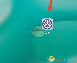 怎么关闭玩机技巧纯净模式