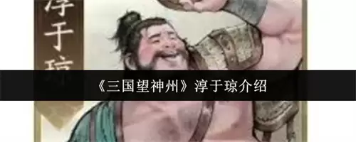 三国望神州淳于琼如何样 2026三国望神州淳于琼介绍