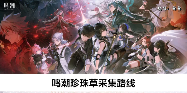 鸣潮珍珠草采集路线