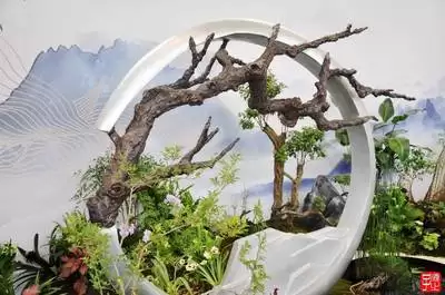 如何解锁Garden-in园艺大师成就-Garden-in园艺大师成就解锁做法