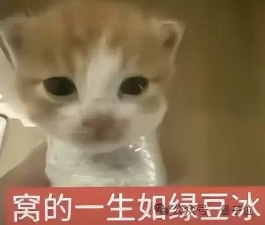 库克临走给苹果涨价！电脑iPad全线上调，iPhone18也跑不了