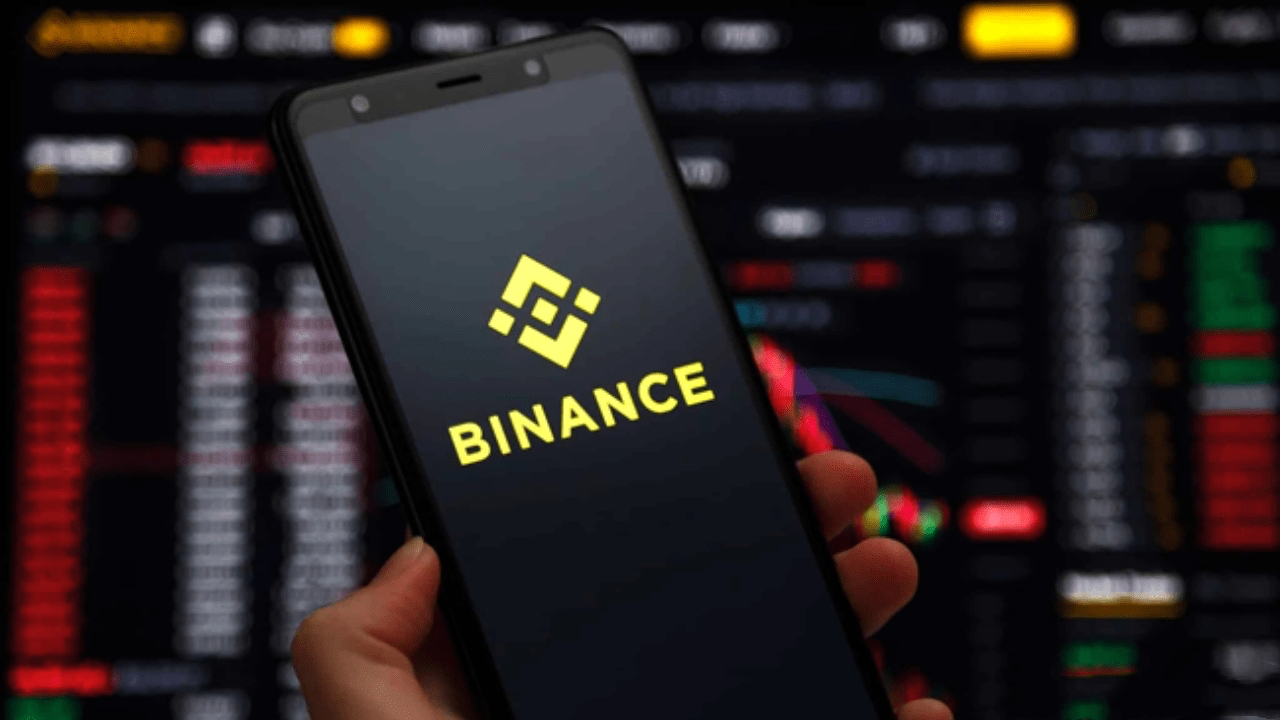 Alpha新手指南-页面入口操作流程与风险提示说明