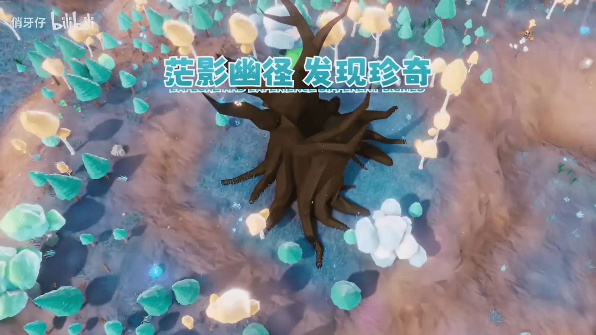 无径之林植物在哪采集