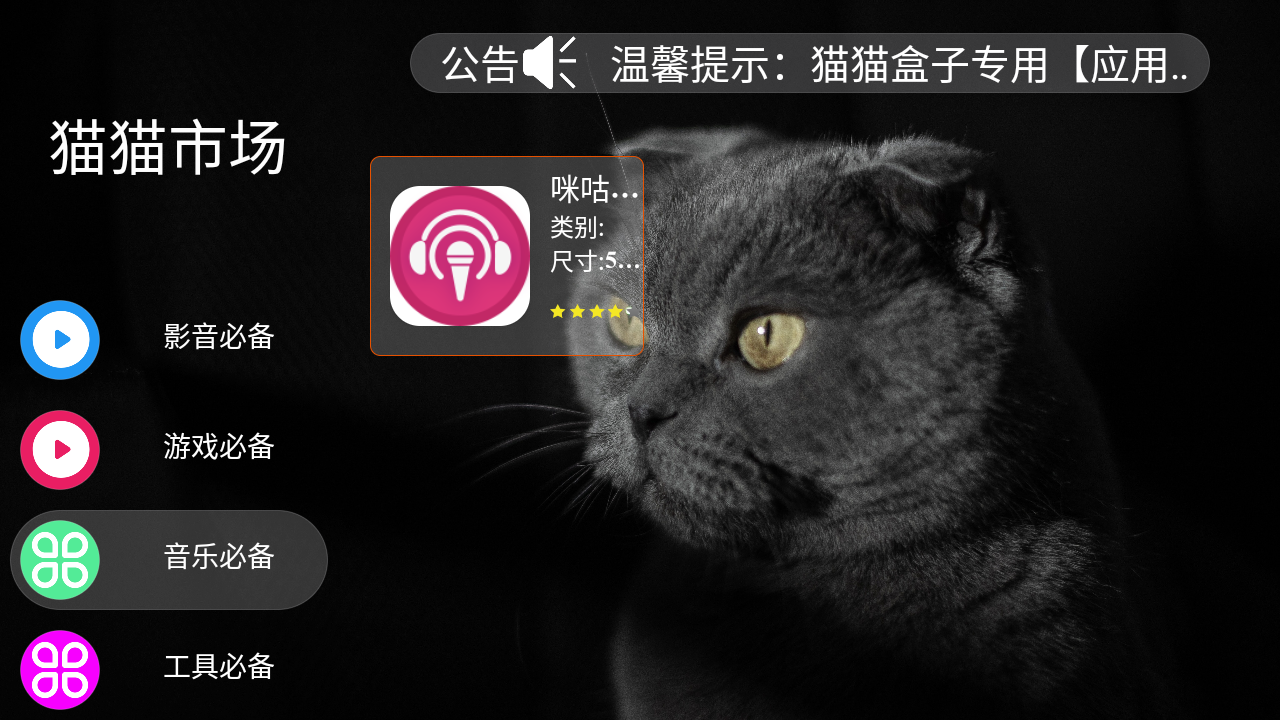 猫猫市场