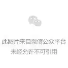 tinkercad-tinkercad,中文下载,3d打印在线教程,Autodesk 公司推出的web类应用