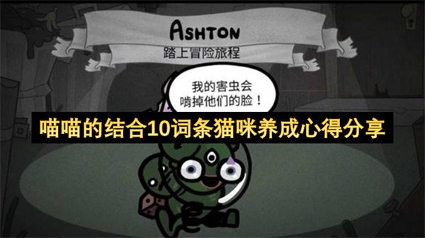 喵喵的结合10词条猫咪养成心得分享
