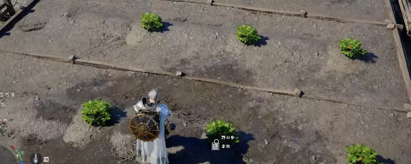 《红色沙漠》获得大量野山参做法介绍