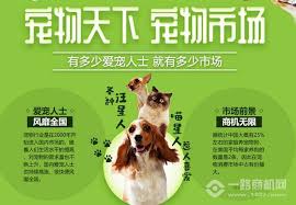养宠记如何购买物品