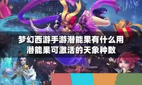 梦幻西游潜能果有什么作用