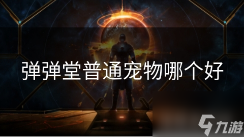弹弹堂普通宠物哪个好