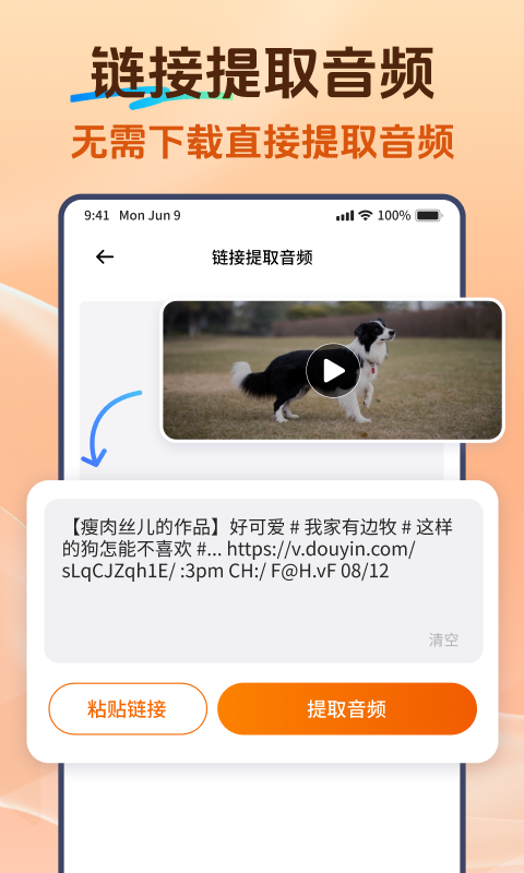 Viwoo音频格式转换器