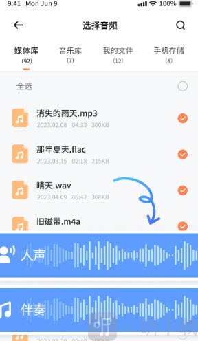 Viwoo音频格式转换器人声和伴奏提取界面