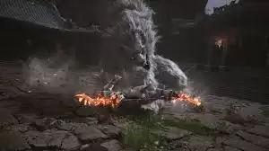 明末渊虚之羽离火爆燃流构筑如何分享