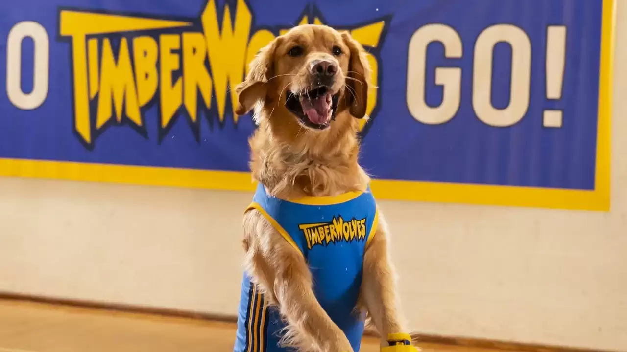 《Air Bud》回归确认原版狗狗巴迪在设定中已离世
