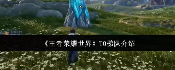 《王者荣耀世界》T0梯队说明