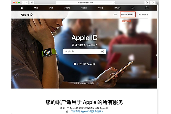 iPhone App Store Apple ID 页面