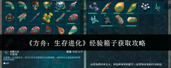 《方舟：生存进化》经验箱子获取攻略