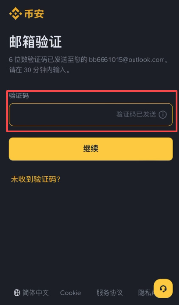 币安注册教程截图，展示邮箱验证码输入框和继续按钮