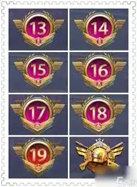 和平精英王牌印记有什么作用