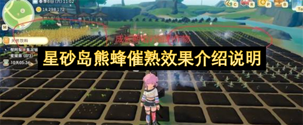 星砂岛熊蜂催熟效果介绍说明