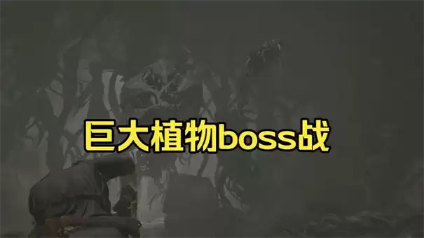 生化危机9安魂曲43号植物如何打