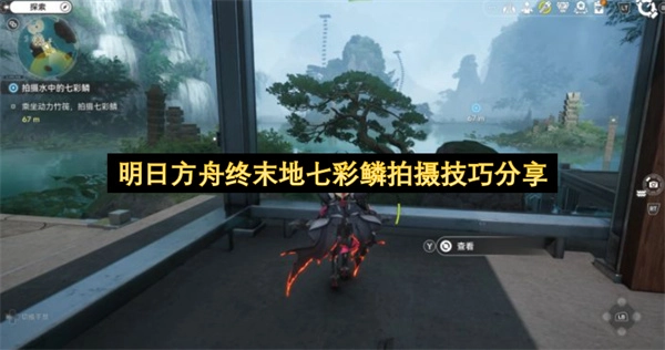 明日方舟终末地：七彩鳞拍摄实用技巧全解析