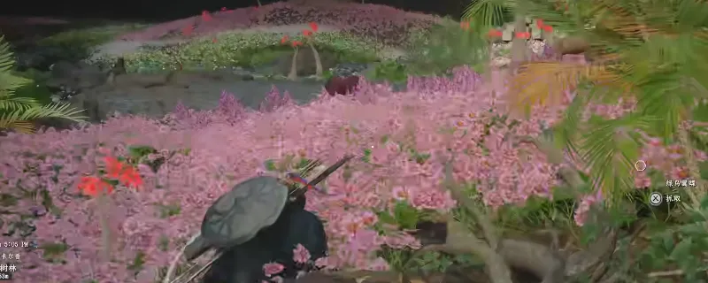 《红色沙漠》传奇马卡莫拉获取攻略-劲绿草位置详细说明