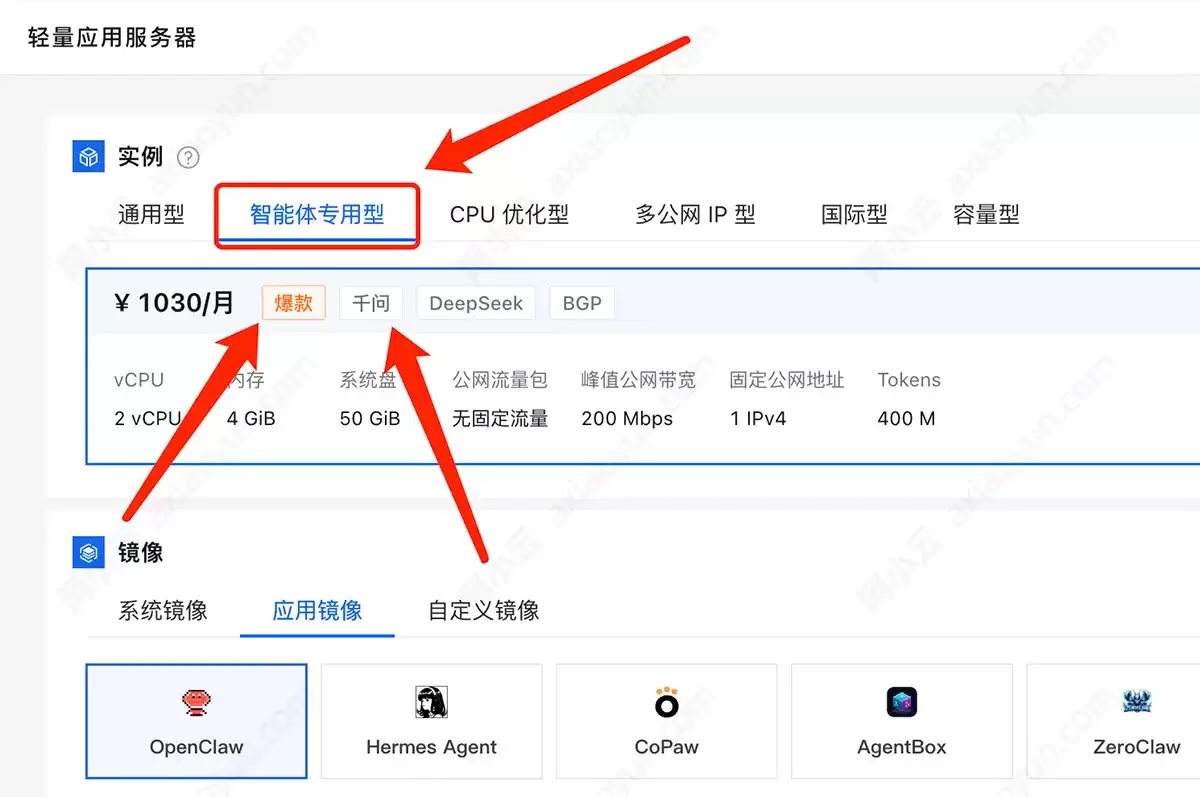 阿里云轻量应用服务器智能体专用型