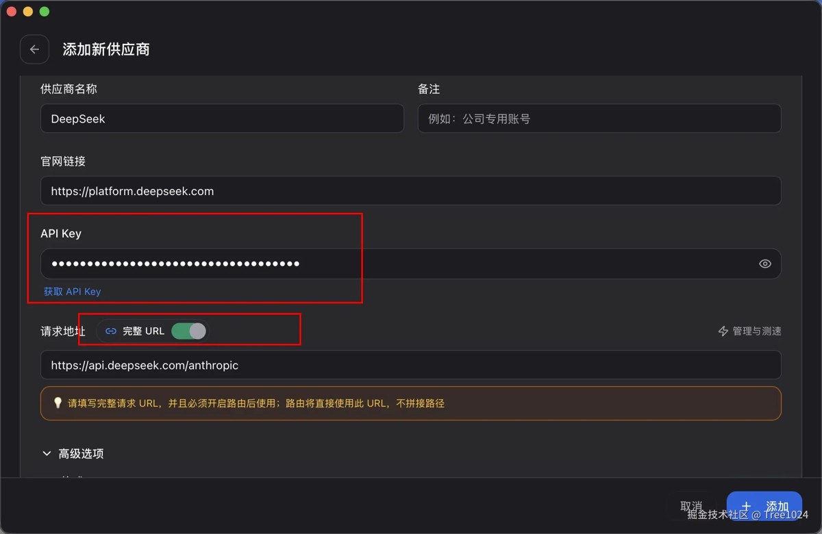 第四步：填写 API Key，并启用完整 URL