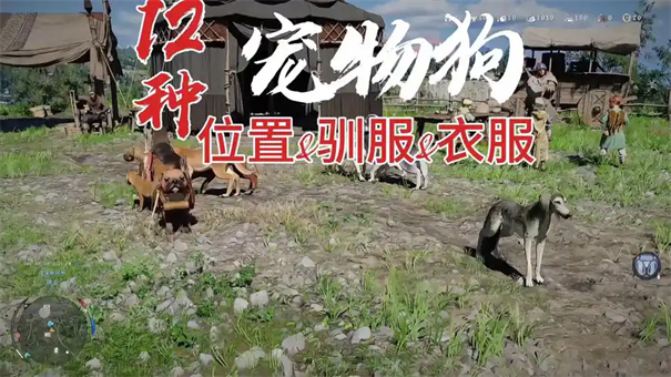 红色沙漠宠物服饰获取做法