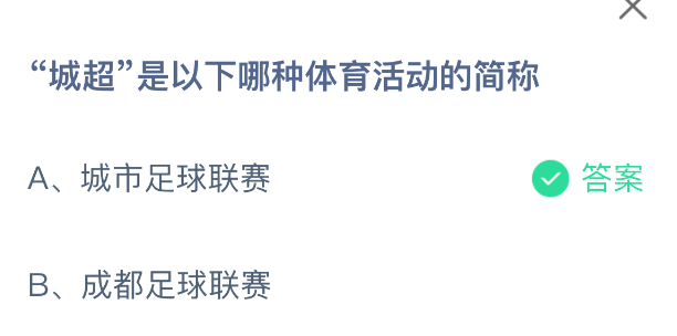 城超是以下哪种体育活动的简称