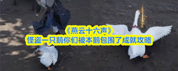 燕云十六声怪盗一只鹅金成就怎么解锁