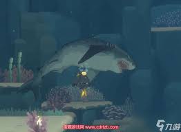 潜水员戴夫怎么打章鱼