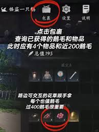 燕云十六声怪盗一只鹅金成就如何解锁