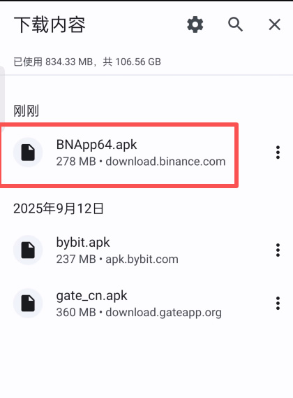 安卓下载列表中显示 APK 文件名与 download.binance.com 来源域名