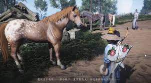燕云十六声清河化马记奇遇怎么做
