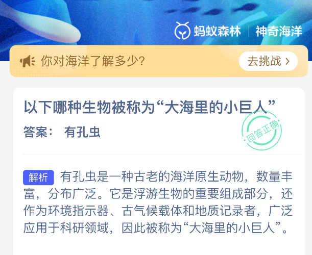 以下哪种生物被称为大海里的小巨人
