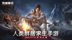 荒原曙光宠物战印怎么汇总