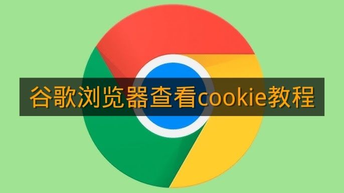 《谷歌浏览器》查看Cookie教程