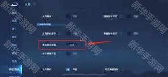 王者荣耀皮肤共享如何关闭