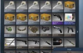 csgo枪皮肤会消失吗