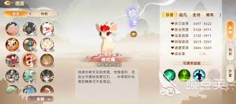 妖错图强力伙伴如何推荐