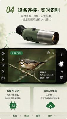 Go Birding