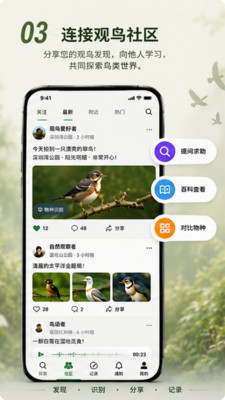 Go Birding