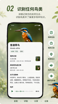 Go Birding