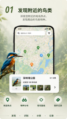 Go Birding