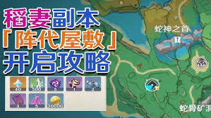 原神稻妻秘境副本有哪些