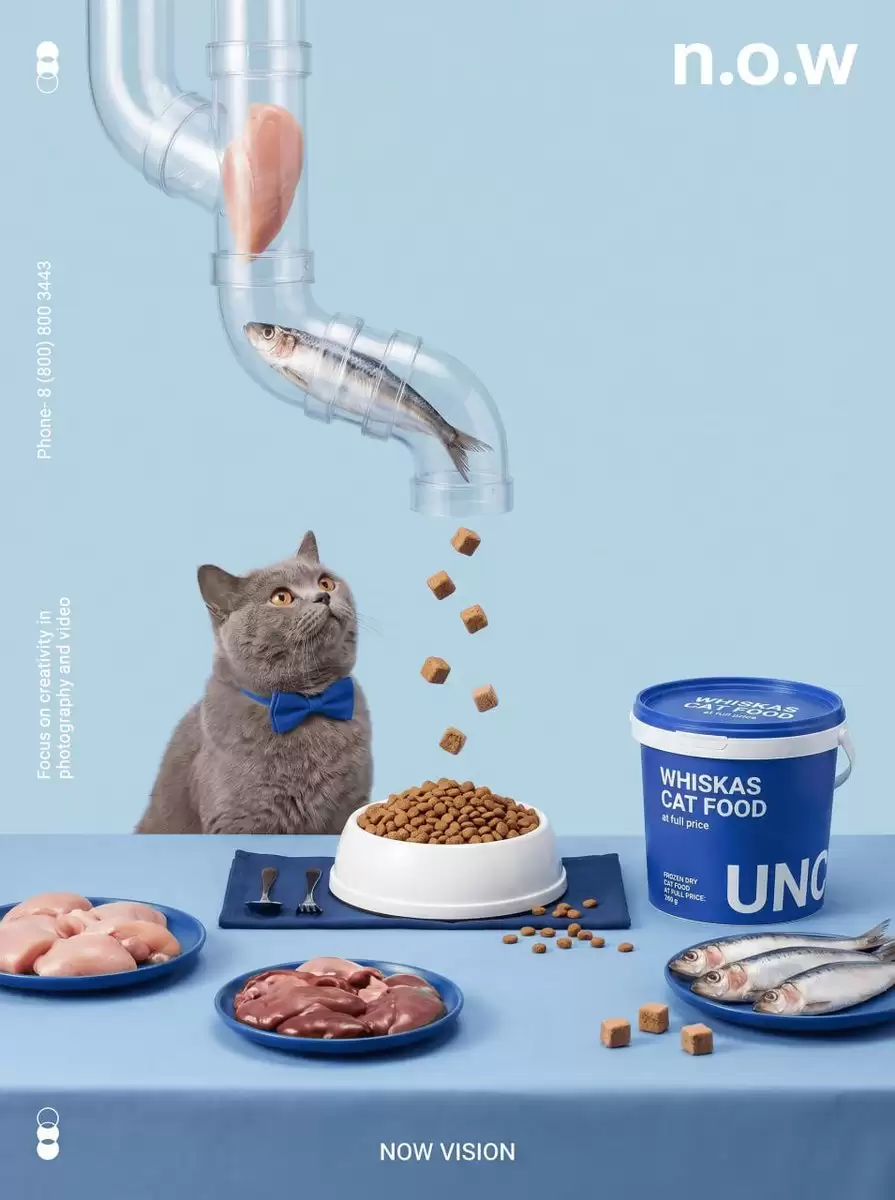 Luxury Chocolate Still Life Advertisement