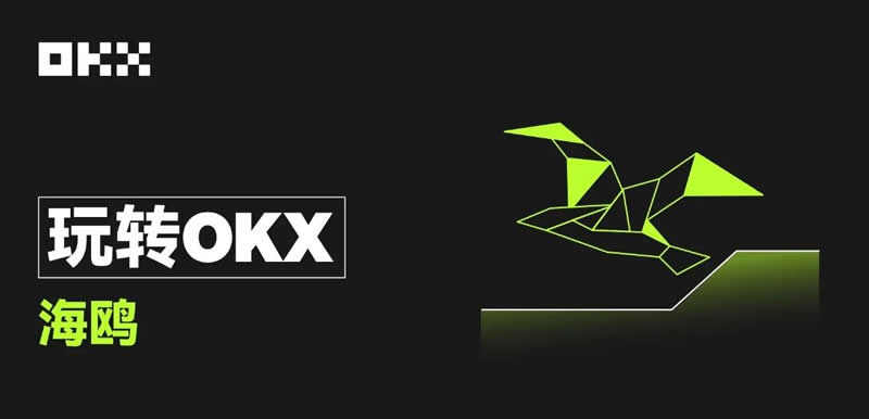欧易OKX海鸥是什么-OKX海鸥申购指南与操作教程