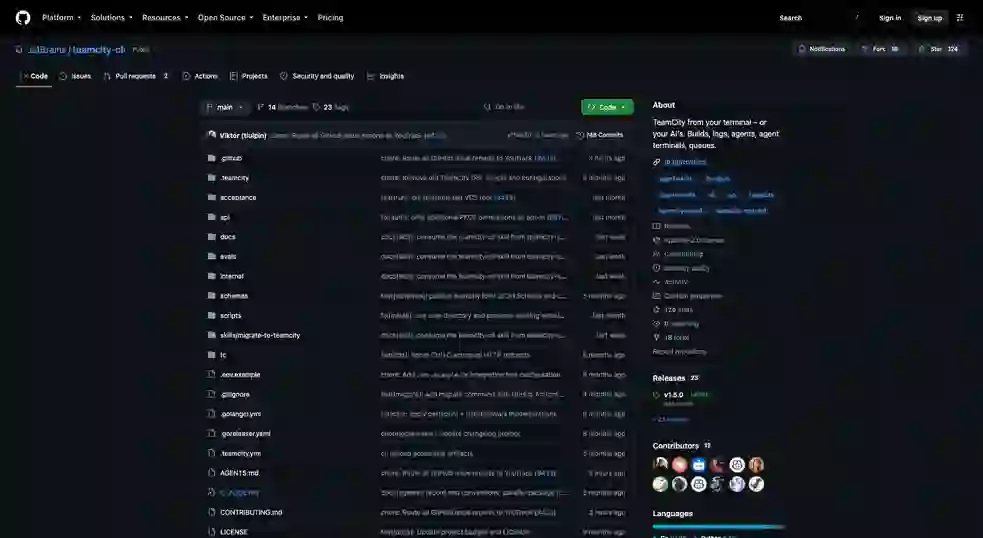 JetBrains/teamcity-cli 项目截图 1